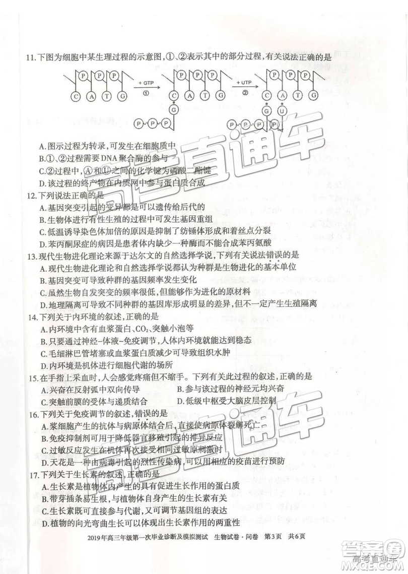 2019屆高三新疆烏魯木齊一診理綜試題及參考答案