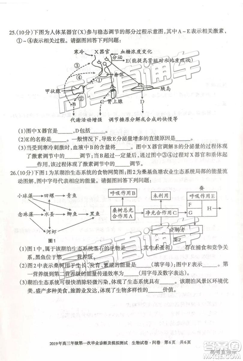 2019屆高三新疆烏魯木齊一診理綜試題及參考答案