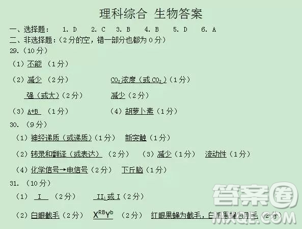 2018-2019學(xué)年度上學(xué)期沈陽(yáng)市郊聯(lián)體期末考試高三理科綜合試題答案