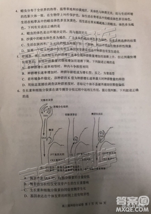 清遠市2018-2019學年度第一學期期末教學質量檢測高三理綜試題及答案解析