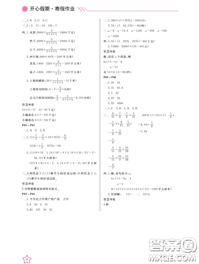 武漢出版社2020春季開心假期寒假作業(yè)六年級數(shù)學(xué)B版答案