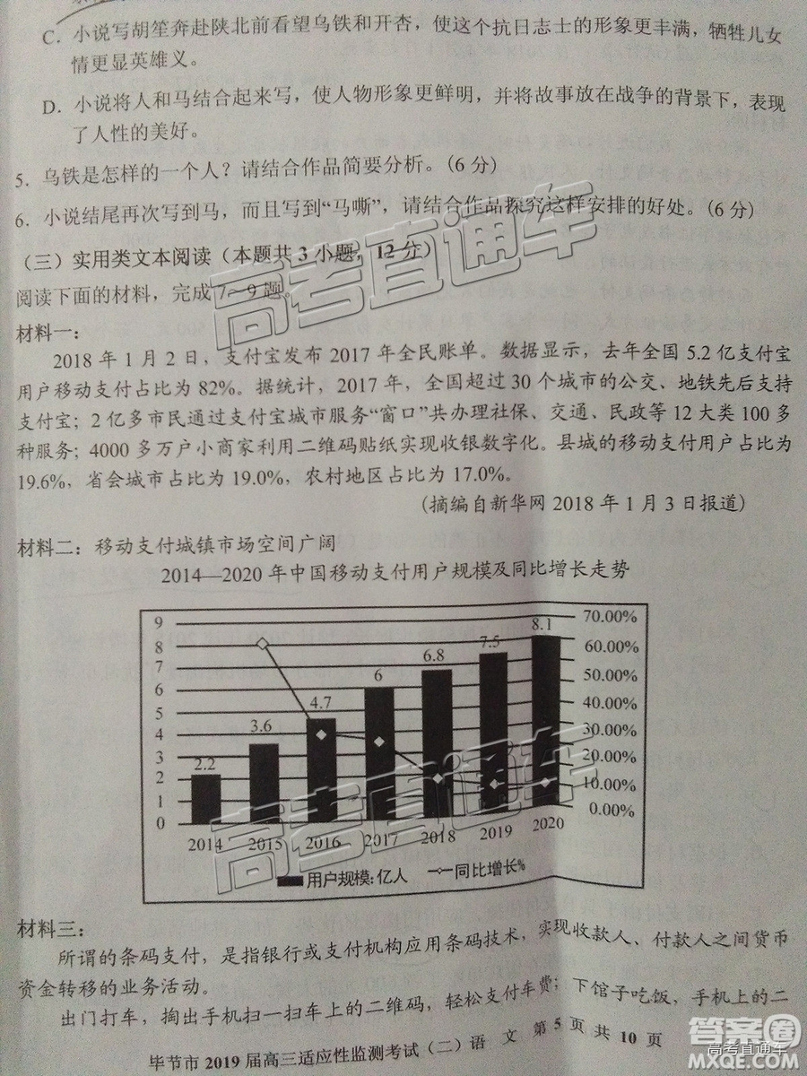 2019屆畢節(jié)市高三適應(yīng)性監(jiān)測(cè)考試（二）語(yǔ)文試題及參考答案