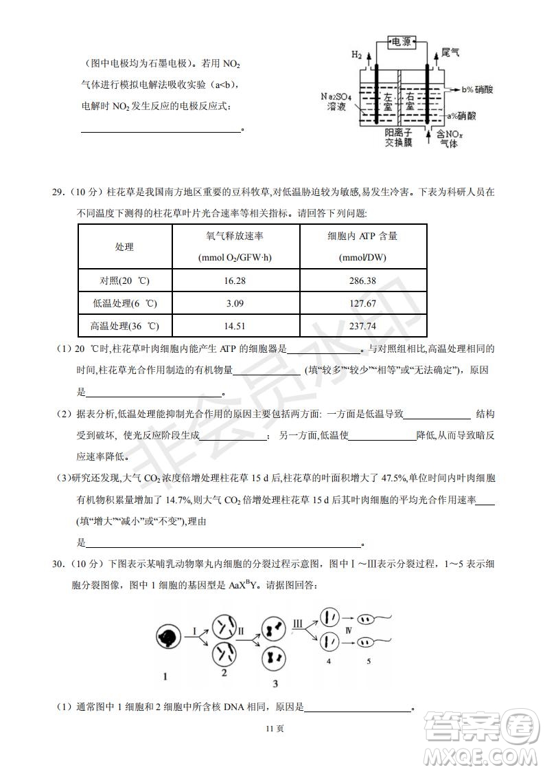 黃山市2019屆高中畢業(yè)班第一次質(zhì)量檢測(cè)理科綜合能力測(cè)試答案解析