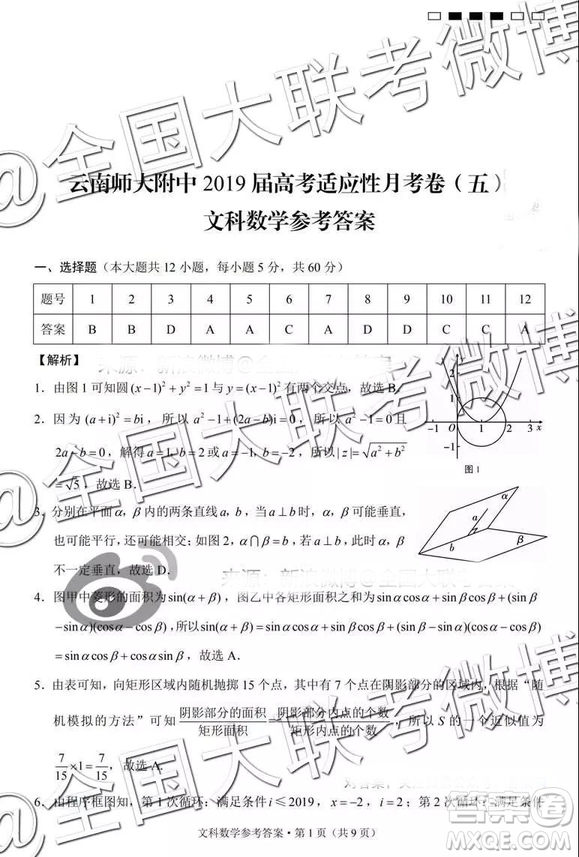 云南師大附中2019屆高考適應(yīng)性月考卷五文科數(shù)學(xué)答案解析