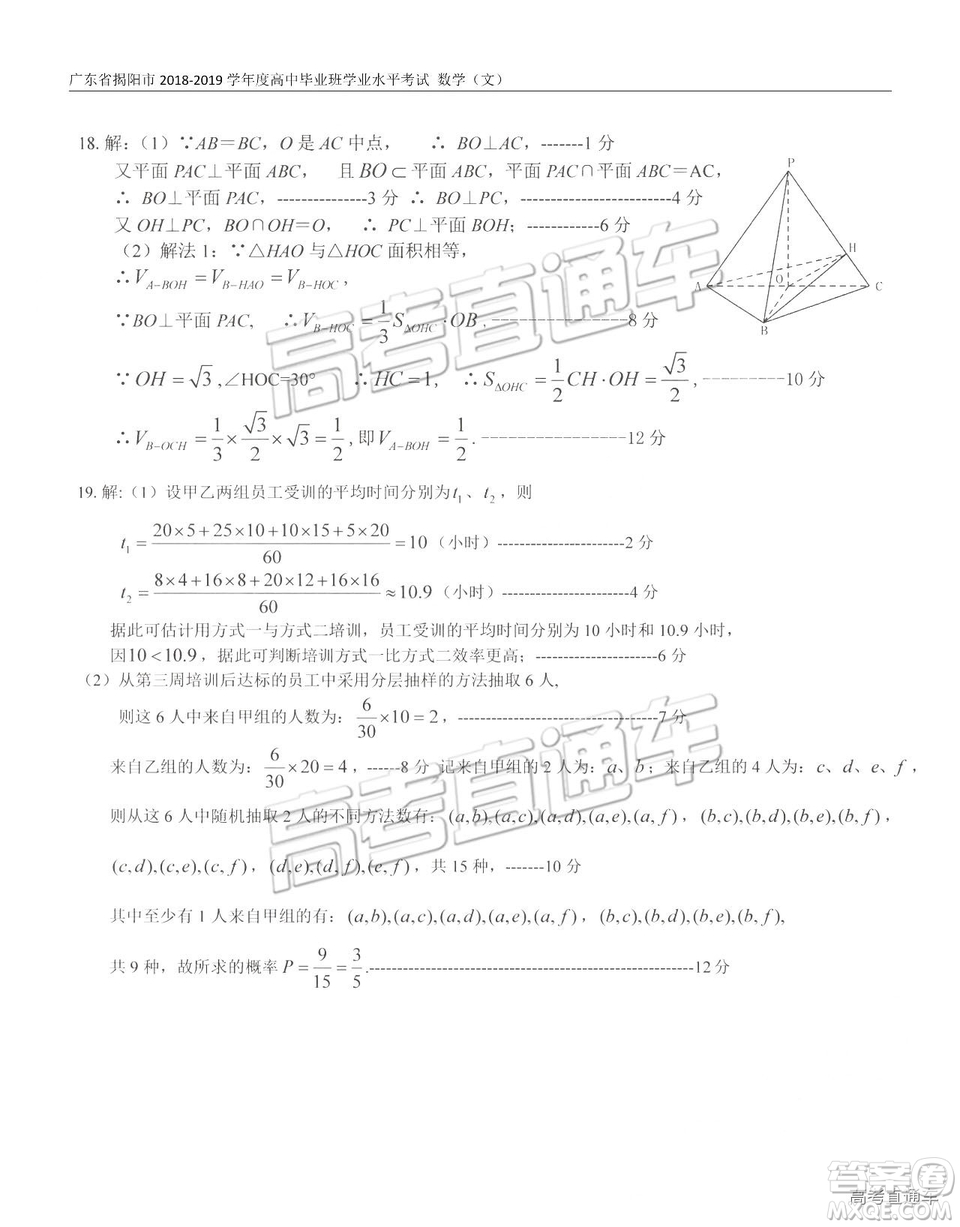 揭陽(yáng)市2018-2019學(xué)年度高三學(xué)業(yè)水平考試文數(shù)試卷及答案