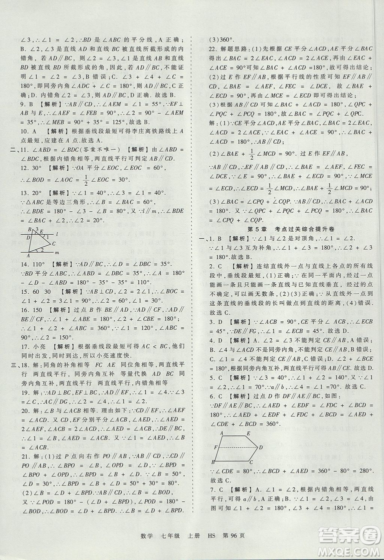 華師版HS2019版王朝霞考點梳理時習(xí)卷七年級上冊數(shù)學(xué)參考答案