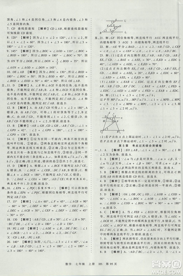 華師版HS2019版王朝霞考點梳理時習(xí)卷七年級上冊數(shù)學(xué)參考答案