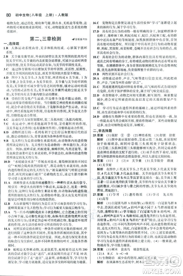 2019版5年中考3年模擬生物八年級上冊人教版RJ參考答案