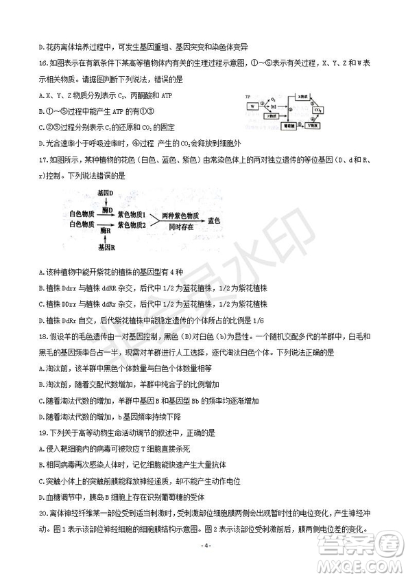 2019屆湖南省岳陽(yáng)市高三教學(xué)質(zhì)量檢測(cè)一生物試題及答案