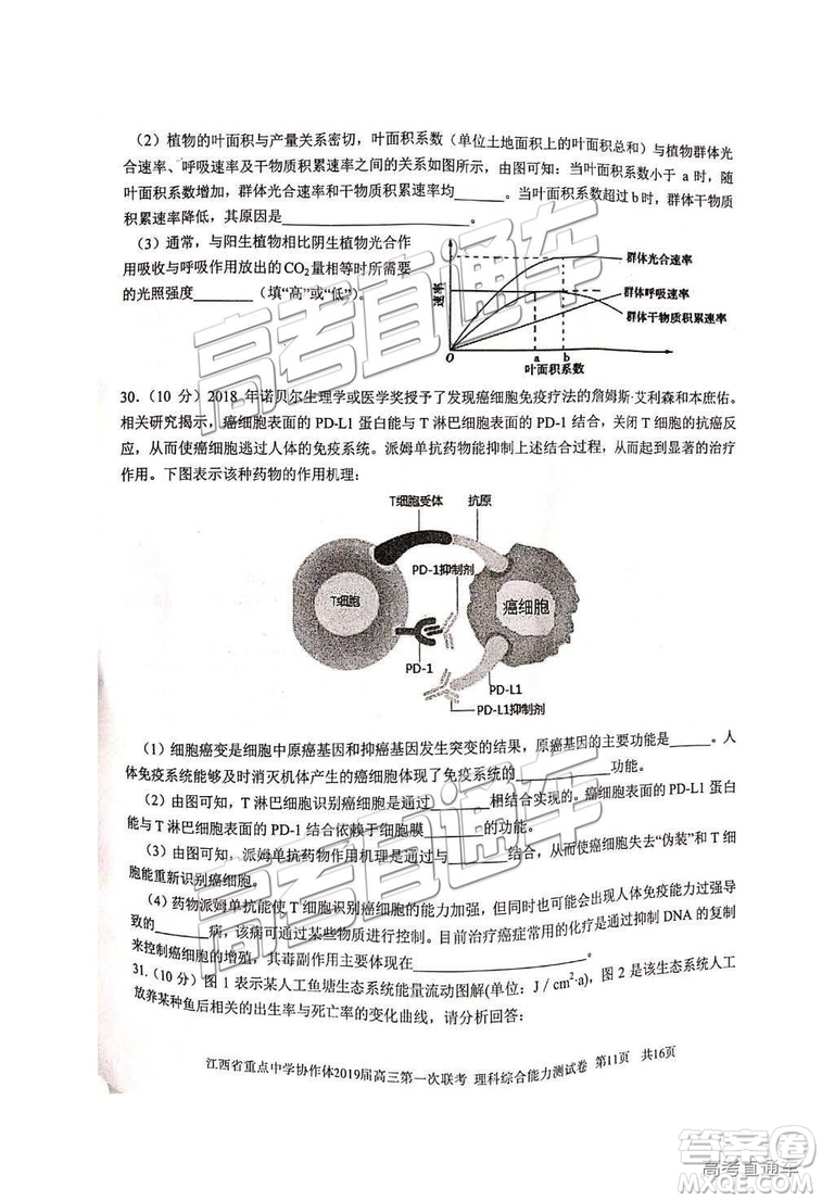 2019年江西重點(diǎn)中學(xué)協(xié)作體高三第一次聯(lián)考理綜試題及參考答案