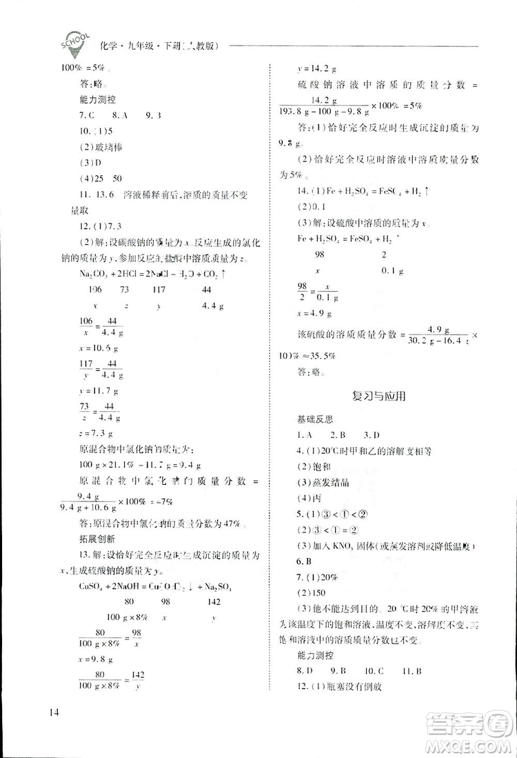 2019新課程問(wèn)題解決導(dǎo)學(xué)方案九年級(jí)下冊(cè)化學(xué)人教版答案