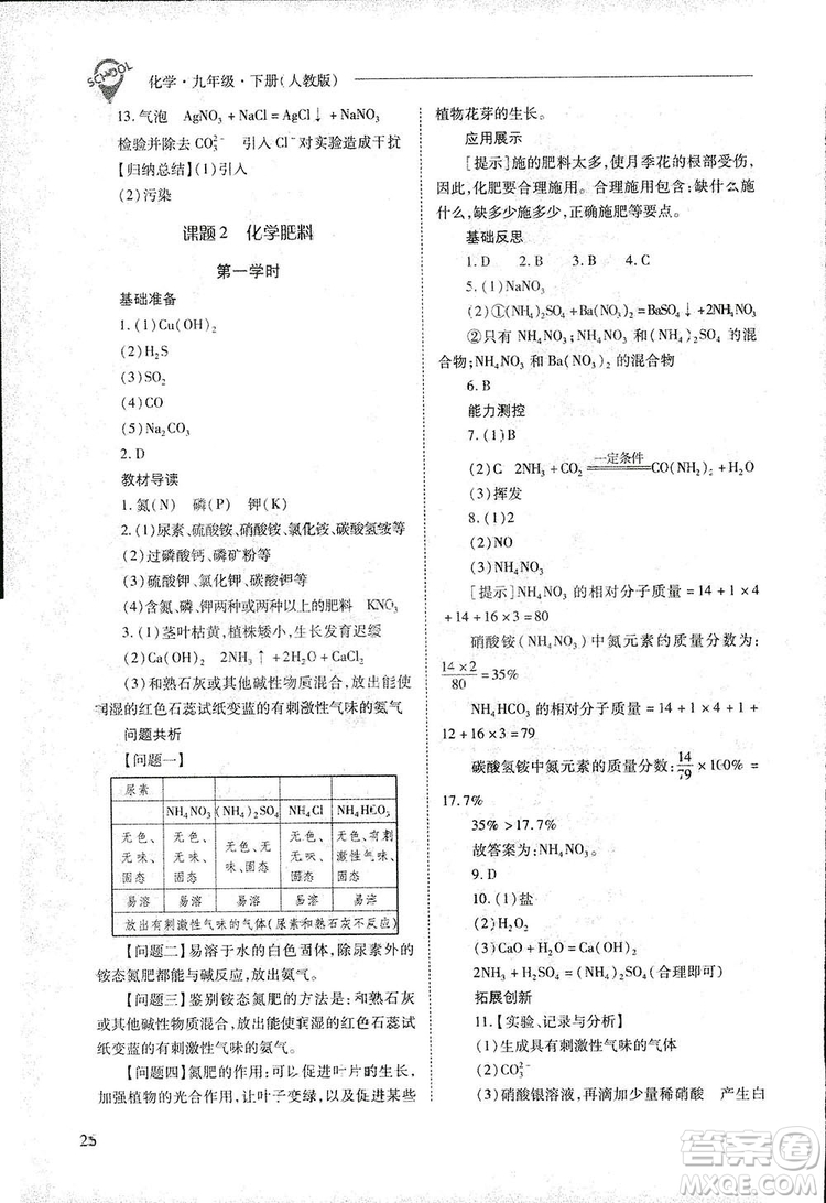 2019新課程問(wèn)題解決導(dǎo)學(xué)方案九年級(jí)下冊(cè)化學(xué)人教版答案