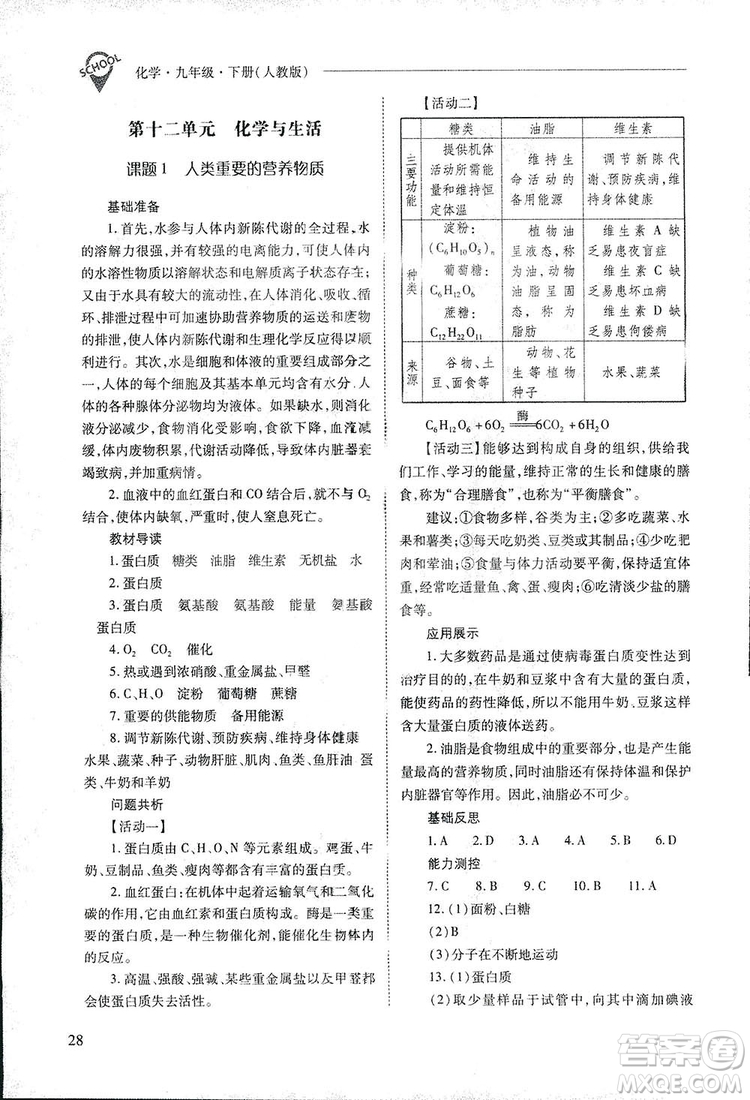 2019新課程問(wèn)題解決導(dǎo)學(xué)方案九年級(jí)下冊(cè)化學(xué)人教版答案