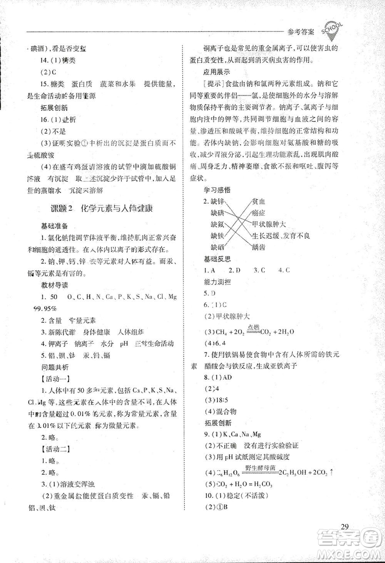 2019新課程問(wèn)題解決導(dǎo)學(xué)方案九年級(jí)下冊(cè)化學(xué)人教版答案