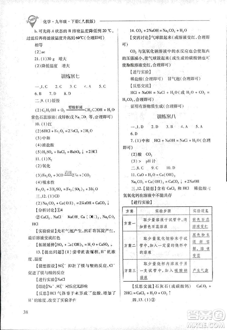 2019新課程問(wèn)題解決導(dǎo)學(xué)方案九年級(jí)下冊(cè)化學(xué)人教版答案