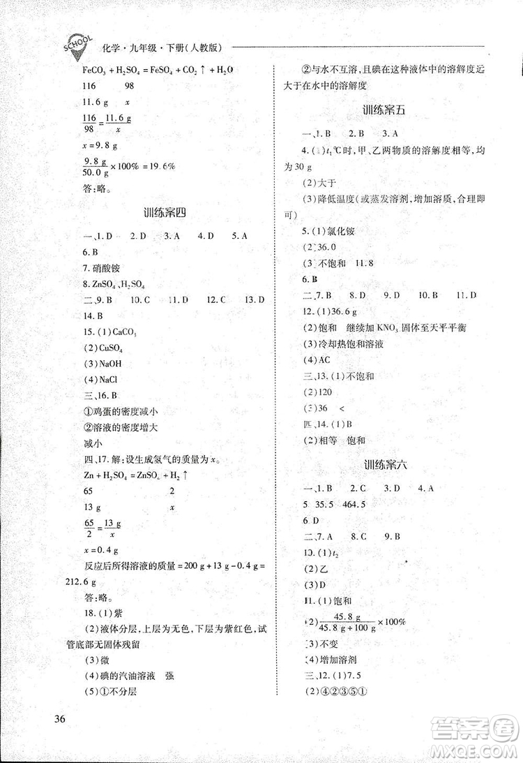 2019新課程問(wèn)題解決導(dǎo)學(xué)方案九年級(jí)下冊(cè)化學(xué)人教版答案