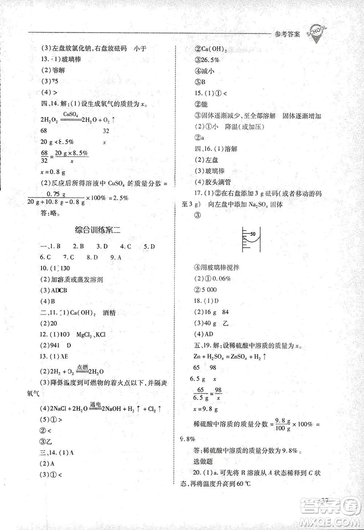 2019新課程問(wèn)題解決導(dǎo)學(xué)方案九年級(jí)下冊(cè)化學(xué)人教版答案