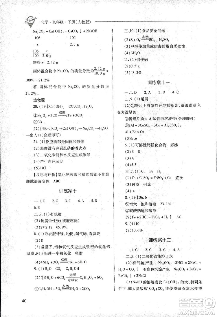 2019新課程問(wèn)題解決導(dǎo)學(xué)方案九年級(jí)下冊(cè)化學(xué)人教版答案