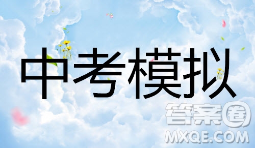 河南省2019年中考語(yǔ)文模擬試題及參考答案