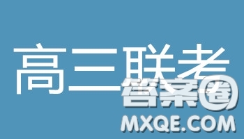 衡水2019年全國(guó)高三統(tǒng)一聯(lián)考2月文科數(shù)學(xué)參考答案