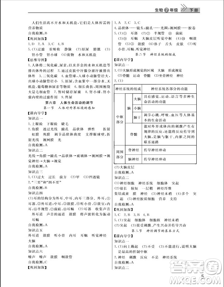 武漢出版社2019智慧學習課堂作業(yè)八年級生物下冊人教版答案