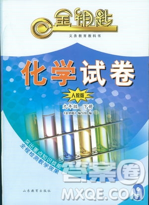 2019年金鑰匙化學試卷九年級下冊人教版參考答案