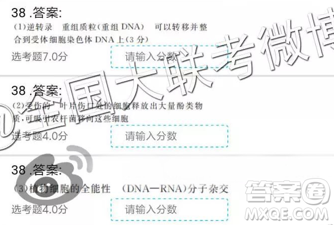 2019年全國(guó)普通高中高三二月大聯(lián)考理綜參考答案