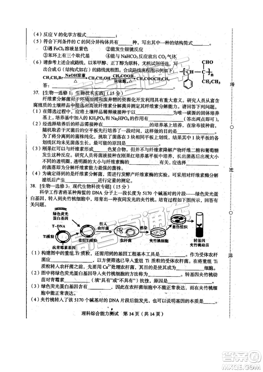 2019年2月高三龍巖質(zhì)檢理綜試題及參考答案