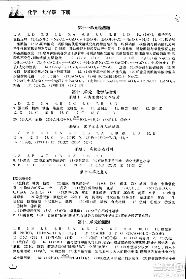 2019年長(zhǎng)江作業(yè)本初中九年級(jí)下冊(cè)化學(xué)同步練習(xí)冊(cè)人教版參考答案