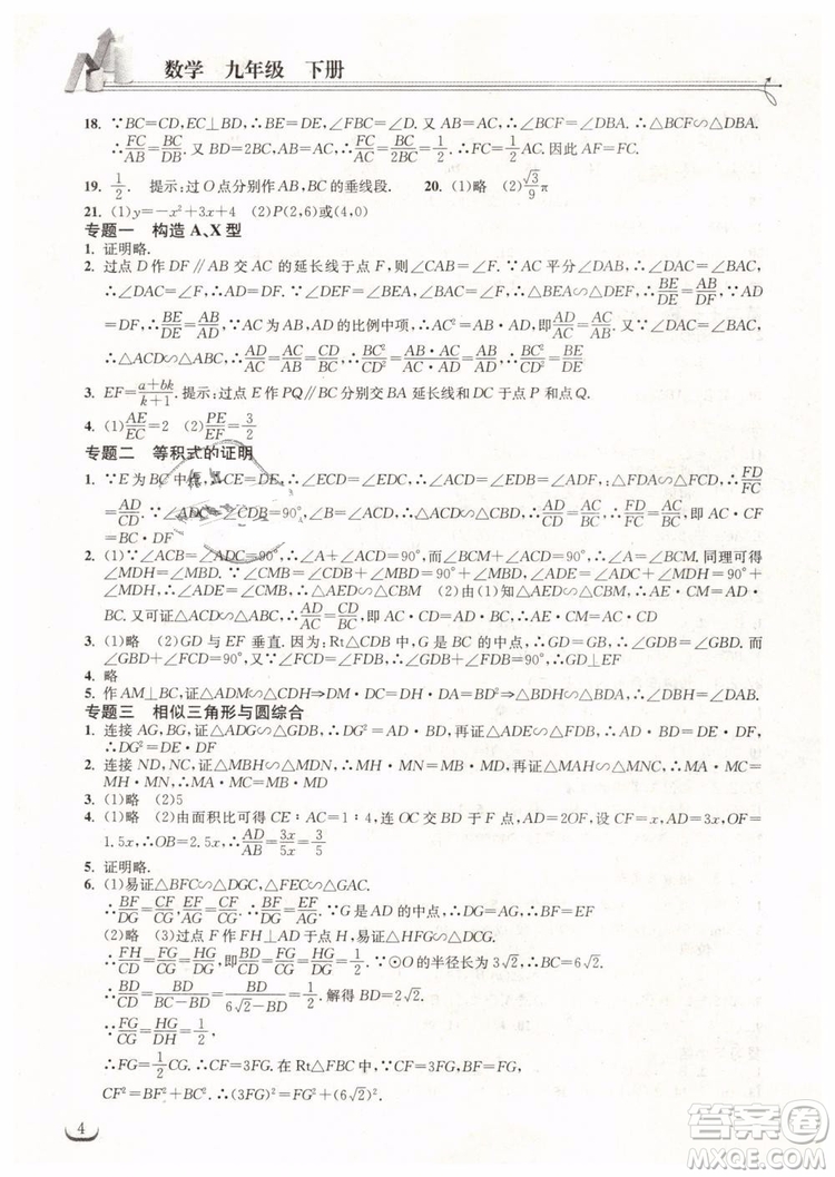 2019新版長江作業(yè)本同步練習(xí)冊九年級數(shù)學(xué)下冊人教版參考答案