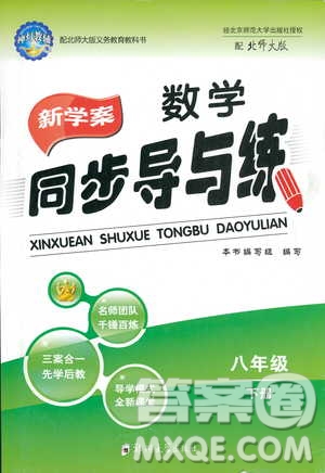 2019春新學(xué)案同步導(dǎo)與練數(shù)學(xué)八年級下冊北師大版參考答案