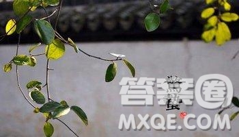 2019關于驚蟄的詩句最新 2019驚蟄相關詩詞素材