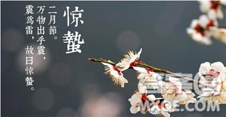 2019關于驚蟄的詩句最新 2019驚蟄相關詩詞素材