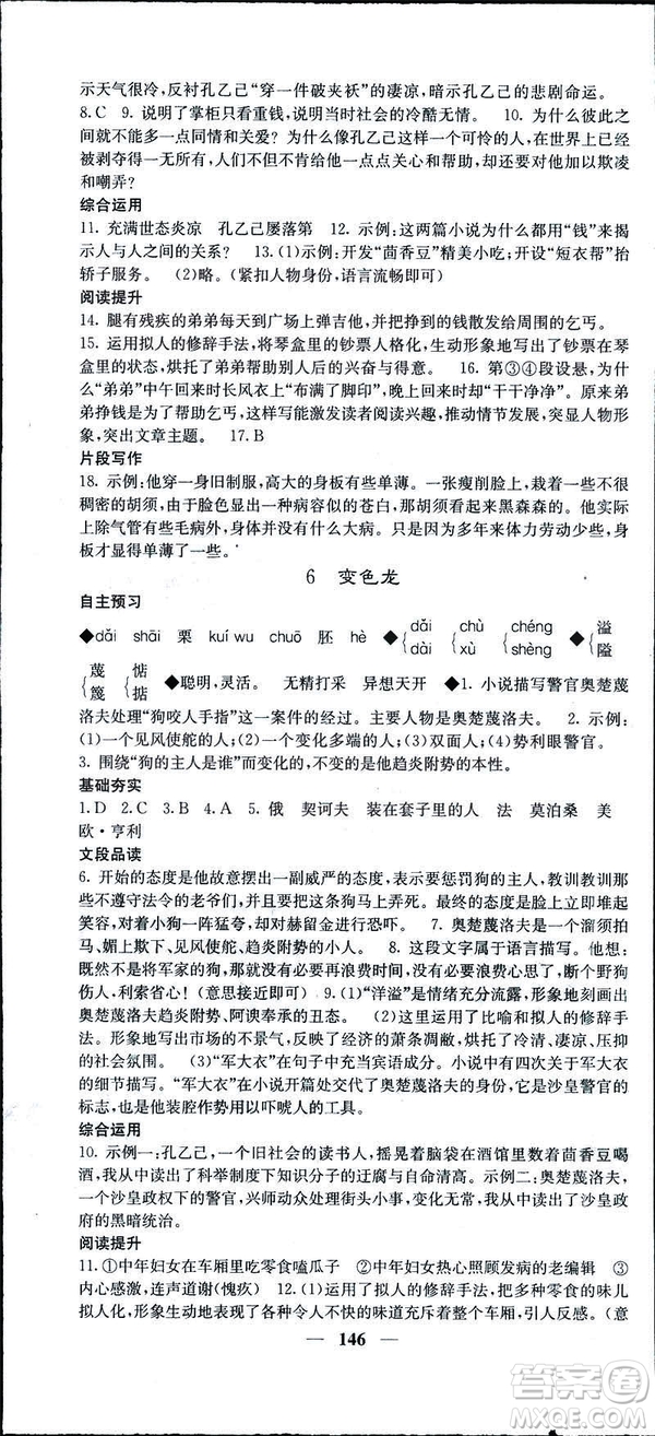 2019年名校課堂內(nèi)外語文九年級下冊人教版答案