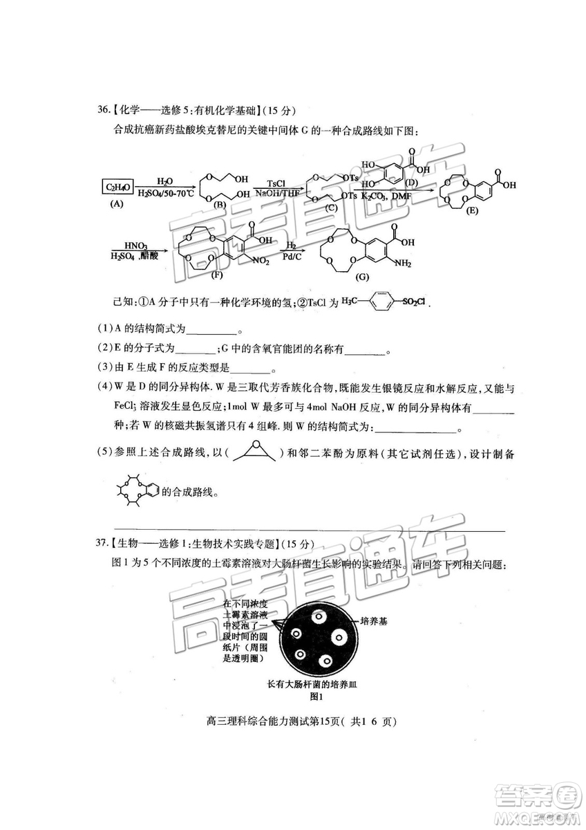 2019年高三濟寧一模理綜試題及參考答案