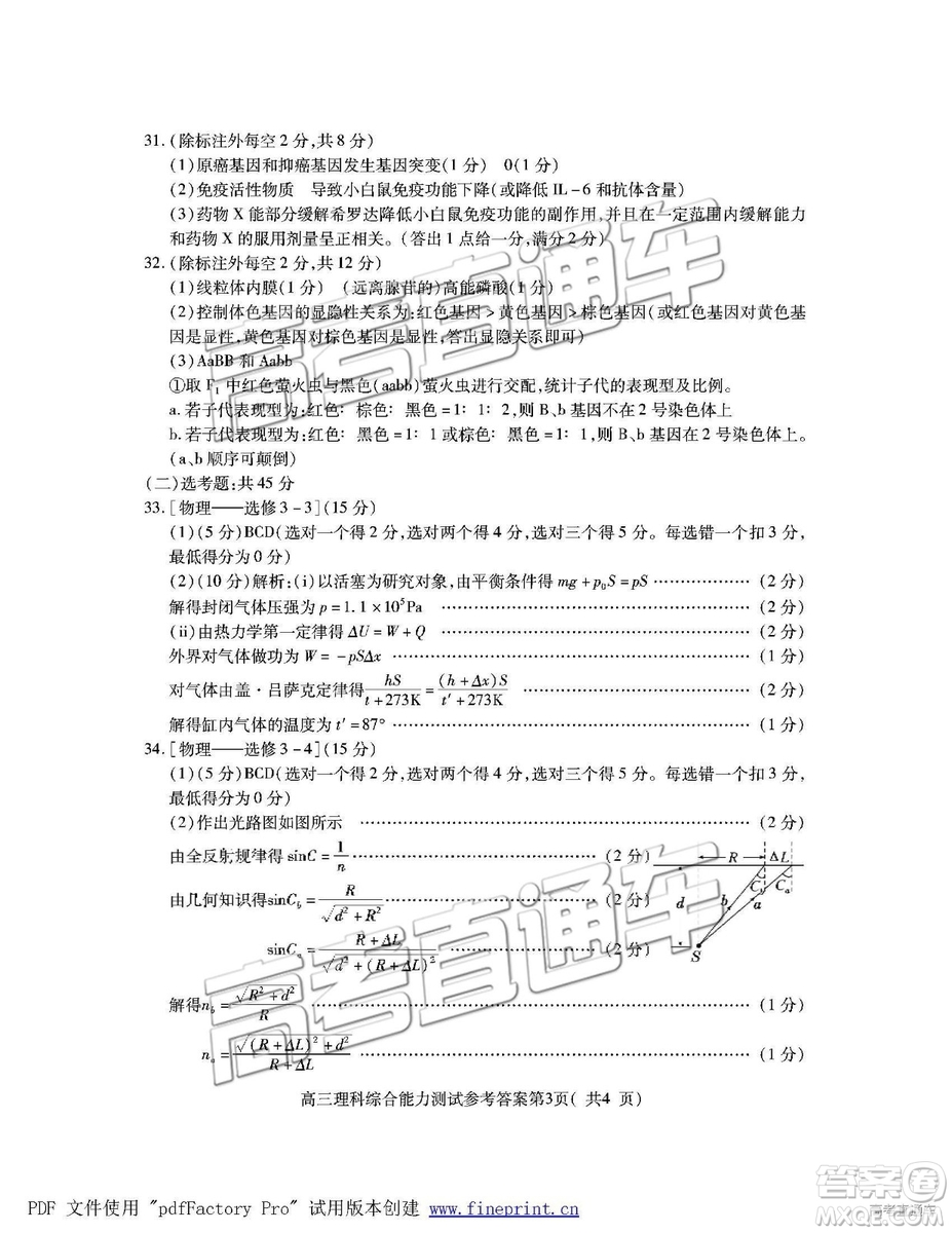 2019年高三濟寧一模理綜試題及參考答案