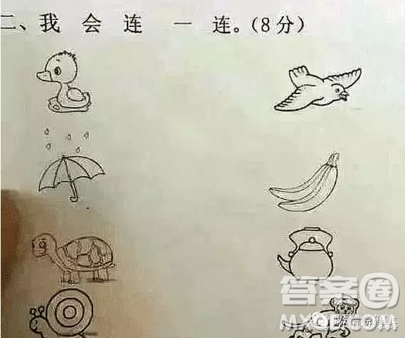 鴨子雨傘蝸牛烏龜連線答案  鴨子雨傘烏龜蝸牛連一連正確答案