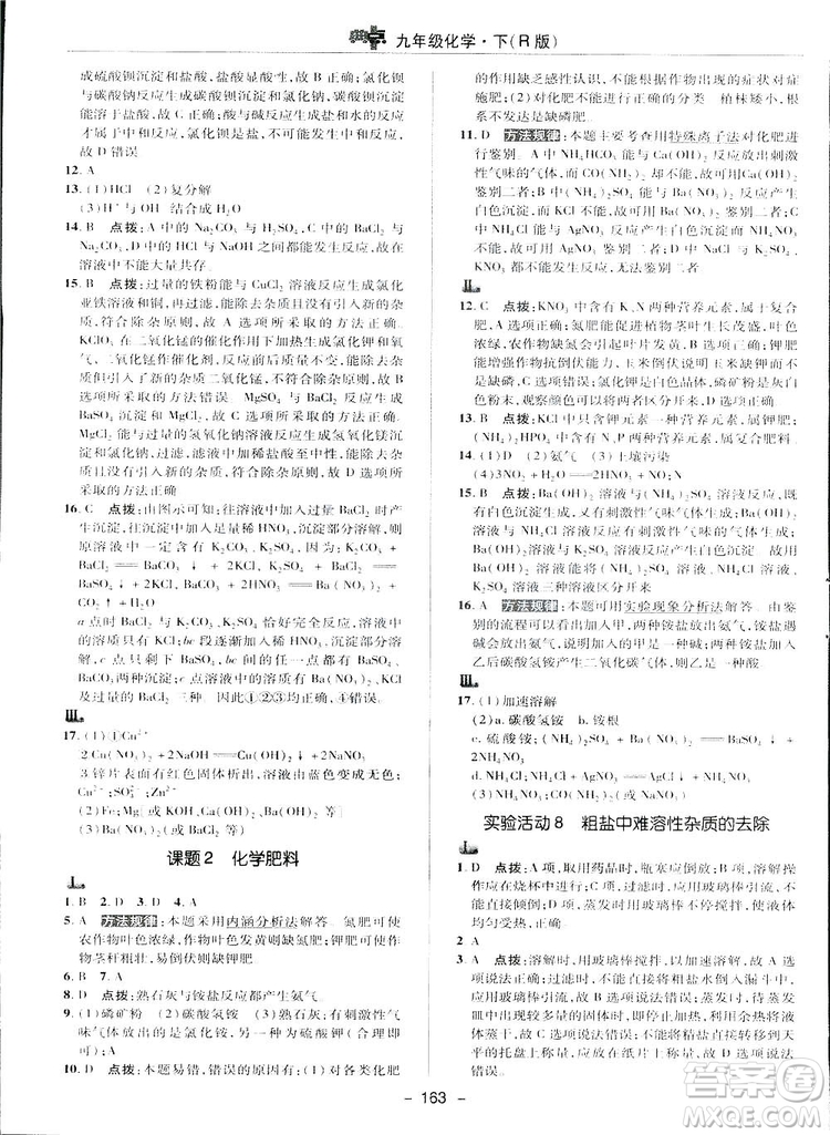 典中點綜合應(yīng)用創(chuàng)新題2019九年級下冊化學(xué)人教版答案