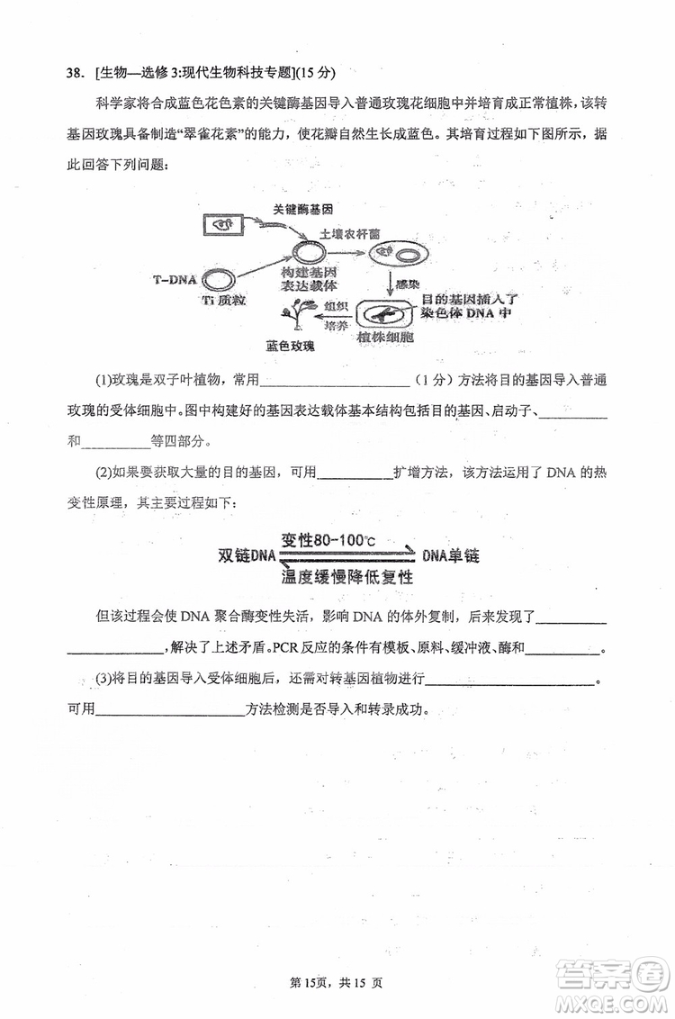 2019年哈三中高三高考模擬考試零模理綜試卷答案