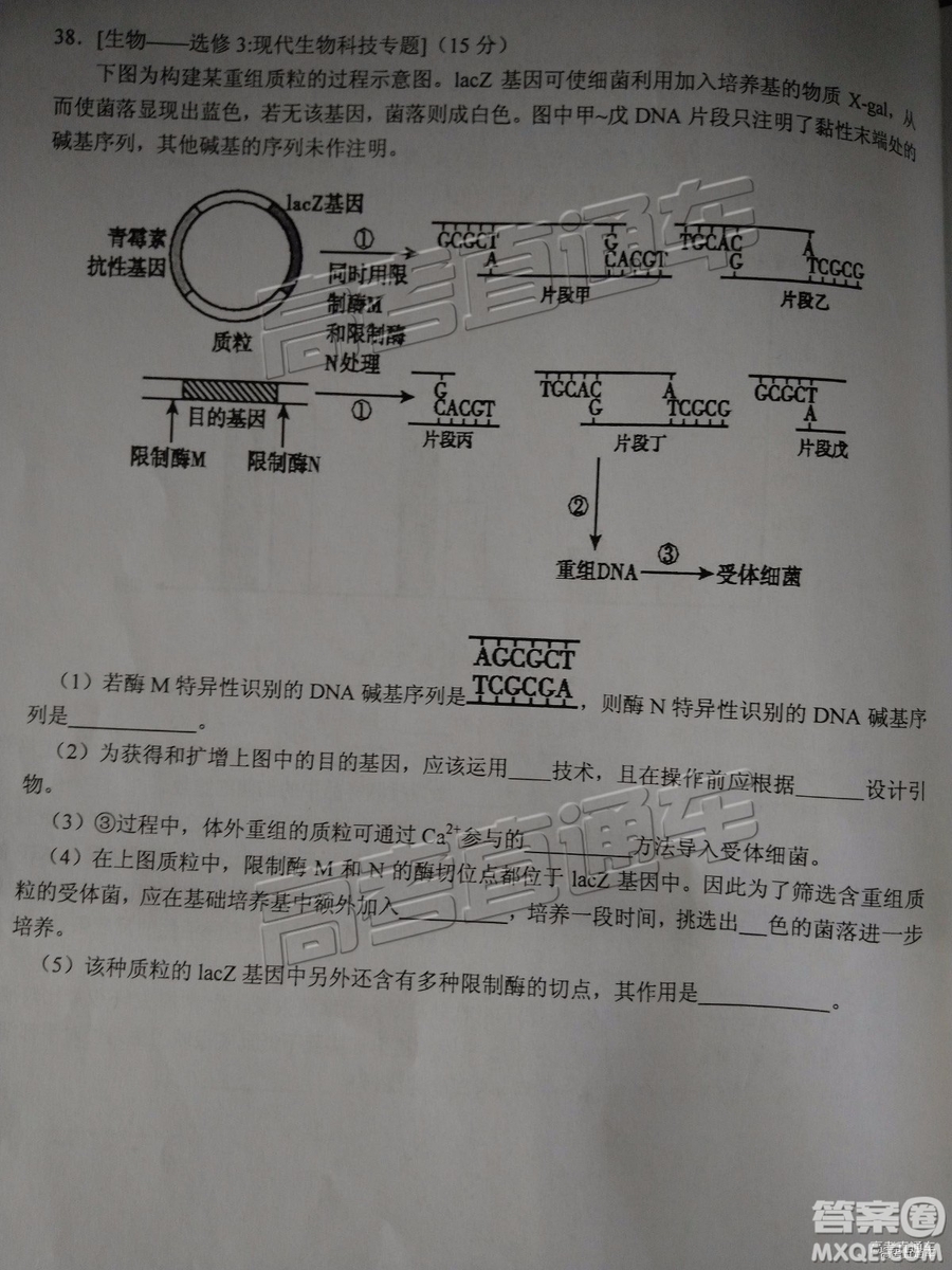 2019年江門高三一模文綜理綜試題及參考答案