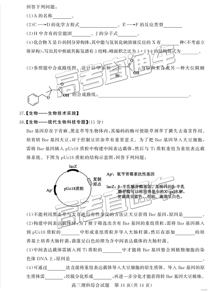 2019年3月德州一模文綜理綜試題及參考答案