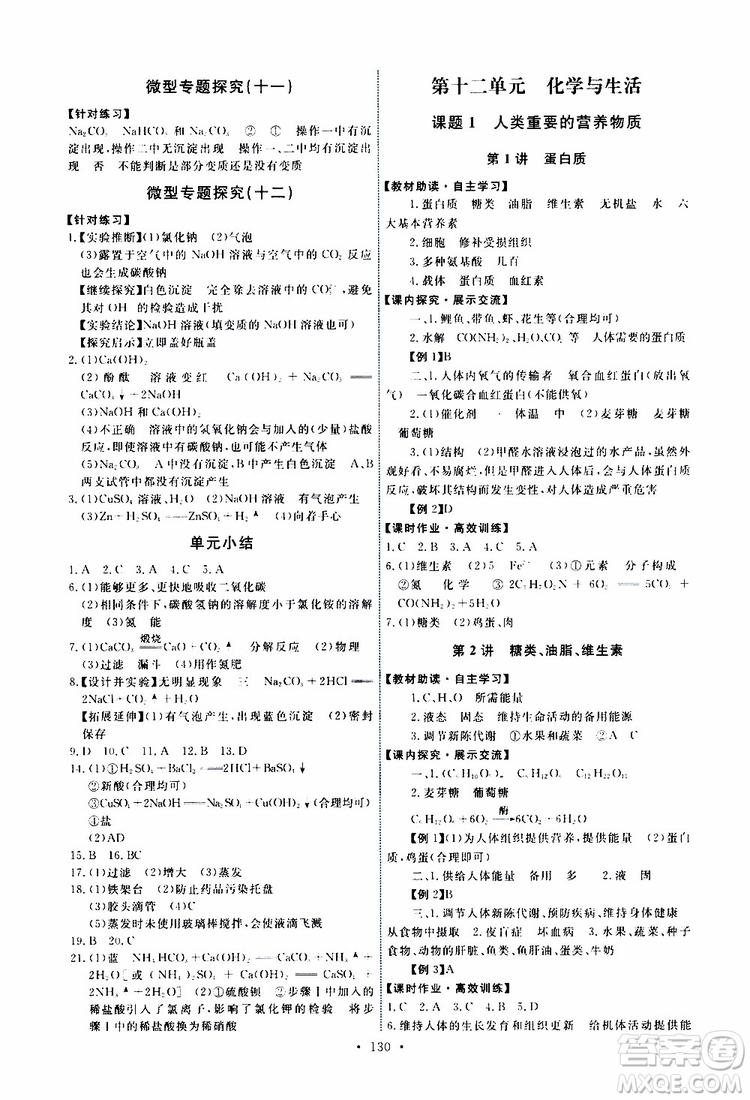 天舟文化2019版能力培養(yǎng)與測試九年級化學(xué)下冊人教版RJ版參考答案