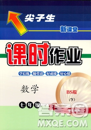 2019版尖子生新課堂課時(shí)作業(yè)七年級(jí)數(shù)學(xué)下冊(cè)BS版參考答案