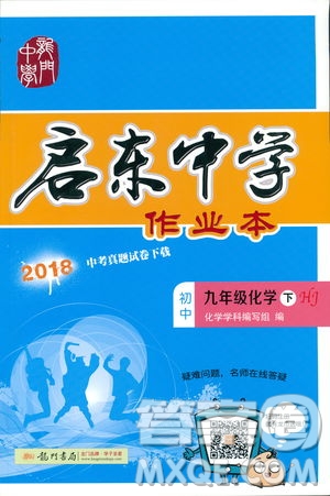 2019春正版啟東中學(xué)作業(yè)本九年級化學(xué)下HJ滬教版答案