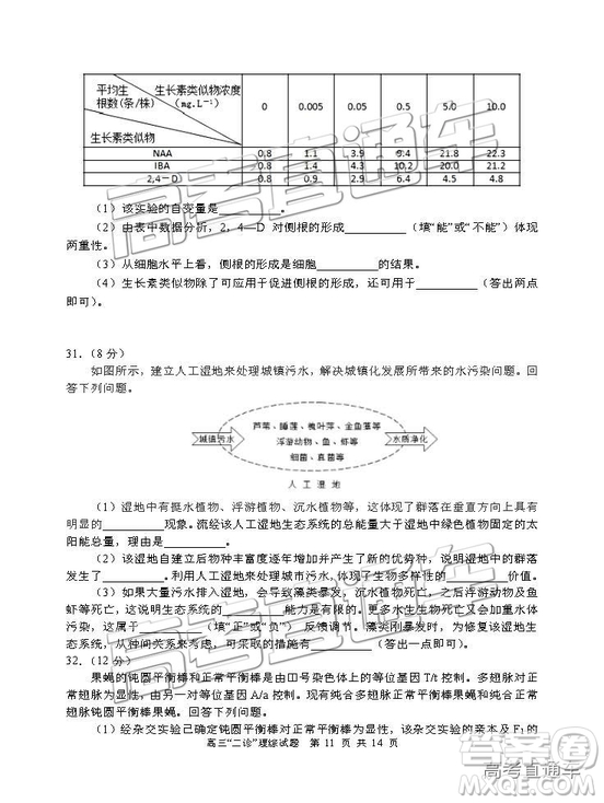 2019年宜賓二診文綜理綜試題和參考答案