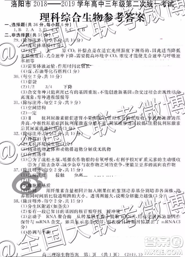 2019年洛陽(yáng)二練文綜理綜答案解析