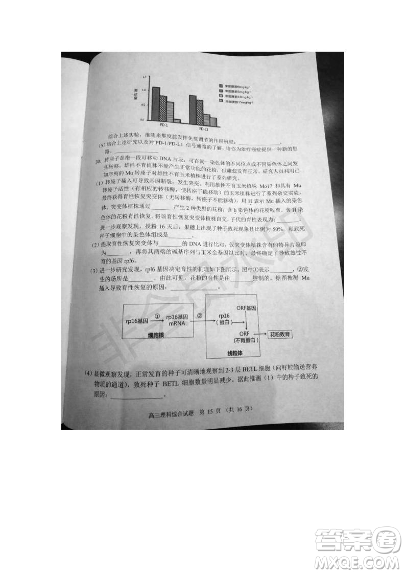 北京市石景山2019年高三一模文綜理綜試題及答案