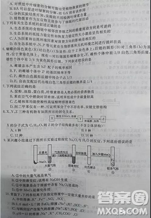 2019年全國(guó)百所名校高考模擬調(diào)研卷六理綜參考答案