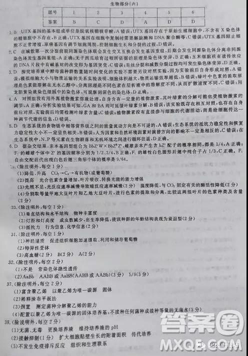 2019年全國(guó)百所名校高考模擬調(diào)研卷六理綜參考答案