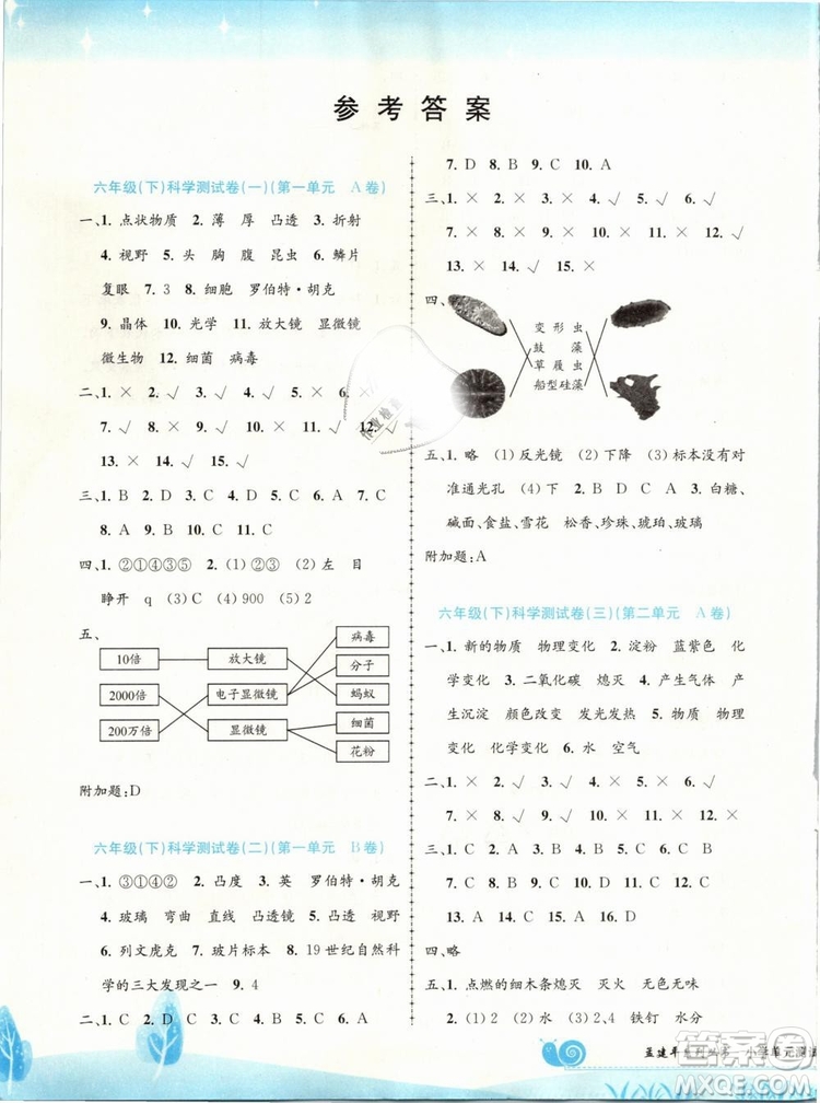 2019春孟建平浙教版小學(xué)單元測試科學(xué)六年級下冊答案